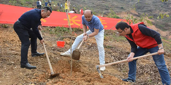 成人直播
“绿美广州 林长先行”造林绿化活动  处处绿意盎然