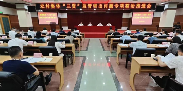 成人直播
召开农村集体“三资”监管突出问题专项整治推进会  守好群众“钱袋子”