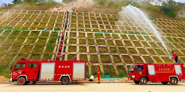 成人直播
全面推动基层应急管理能力现代化建设